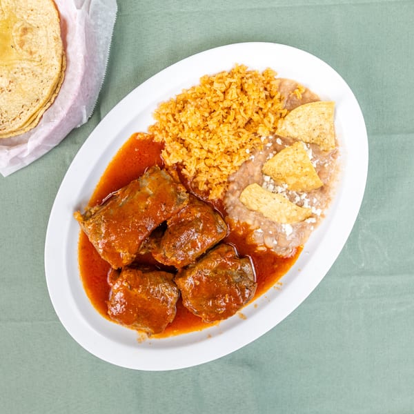 Mexican plate with meat in red sauce, rice, refried beans, tortilla chips, and tortillas on a green tablecloth.